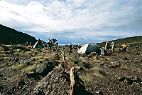 Campo avanzato per il Kilimanjaro