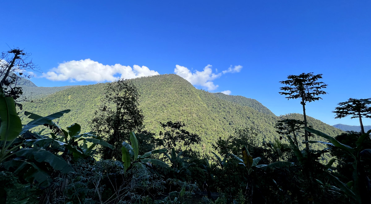 Marcocamandona.com - Colombia - CittÃ  perdute