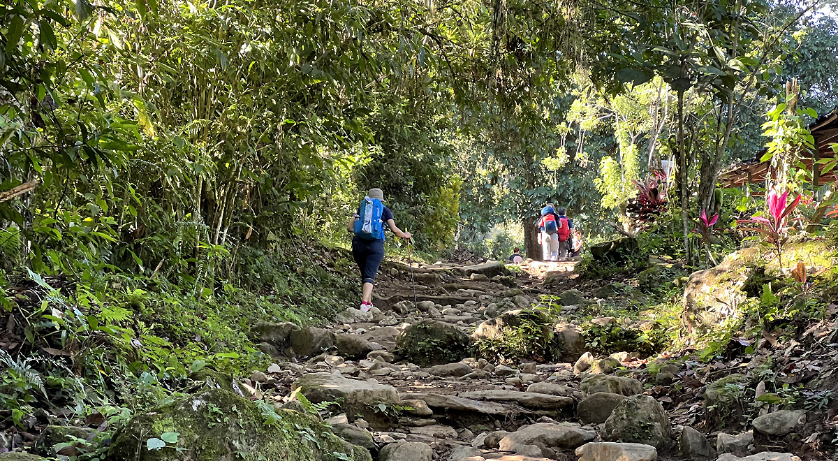 Marcocamandona.com - Colombia - CittÃ  perdute