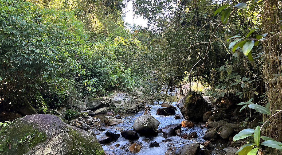 Marcocamandona.com - Colombia - CittÃ  perdute