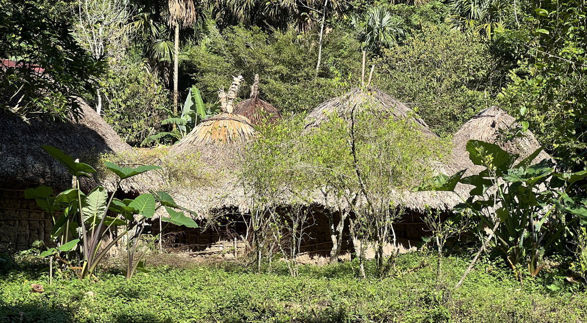 Marcocamandona.com - Colombia - CittÃ  perdute