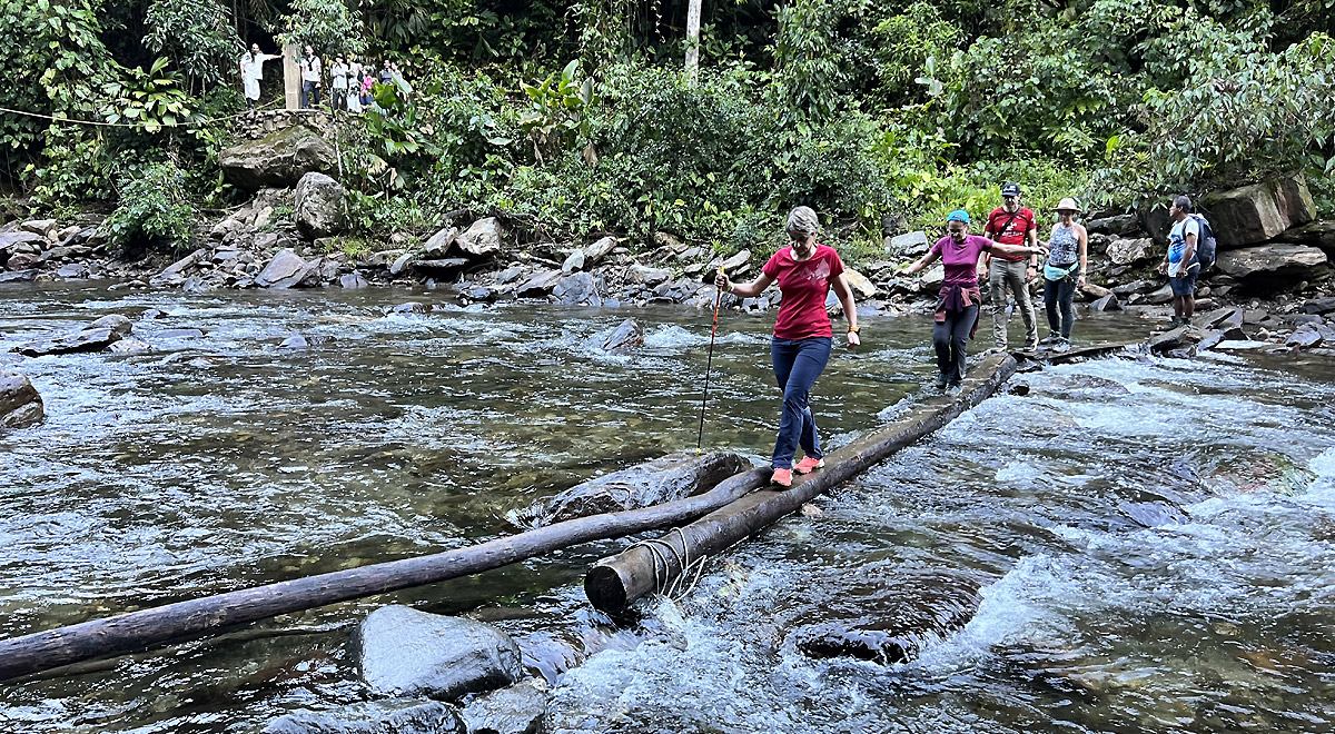Marcocamandona.com - Colombia - CittÃ  perdute