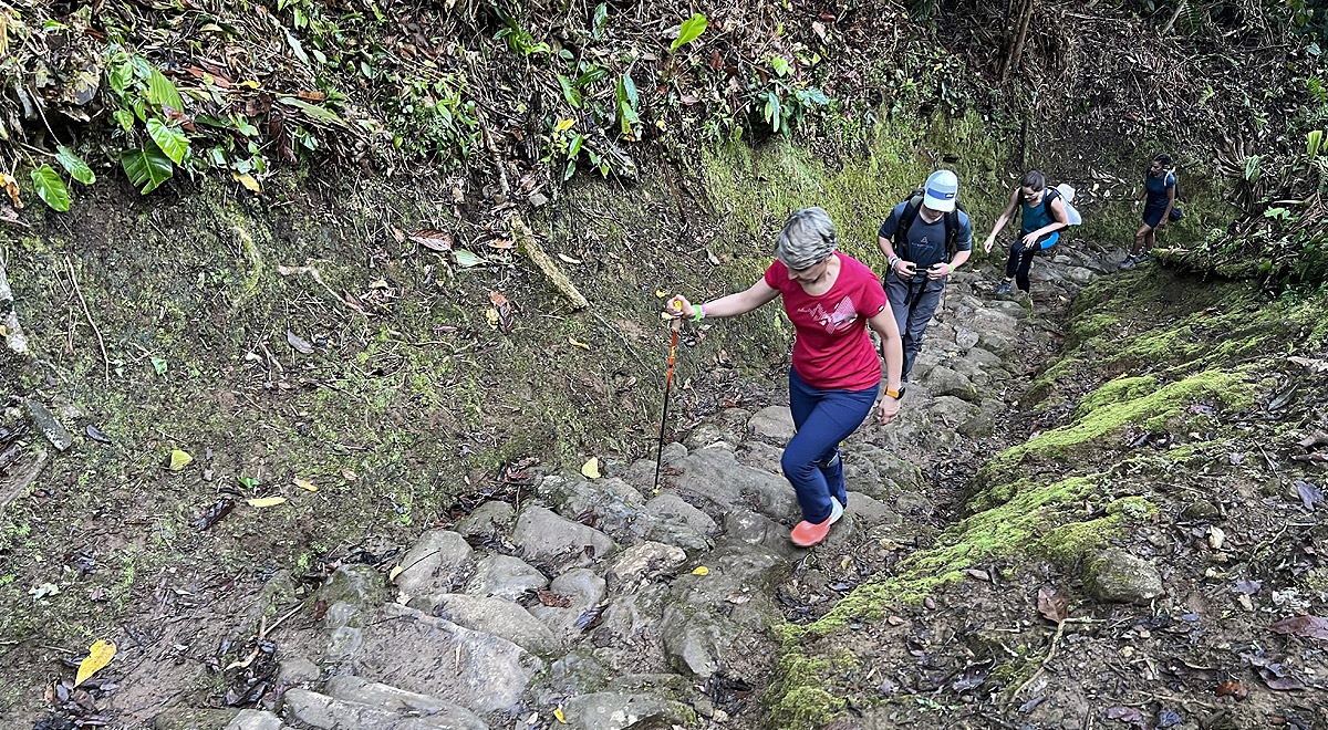 Marcocamandona.com - Colombia - CittÃ  perdute