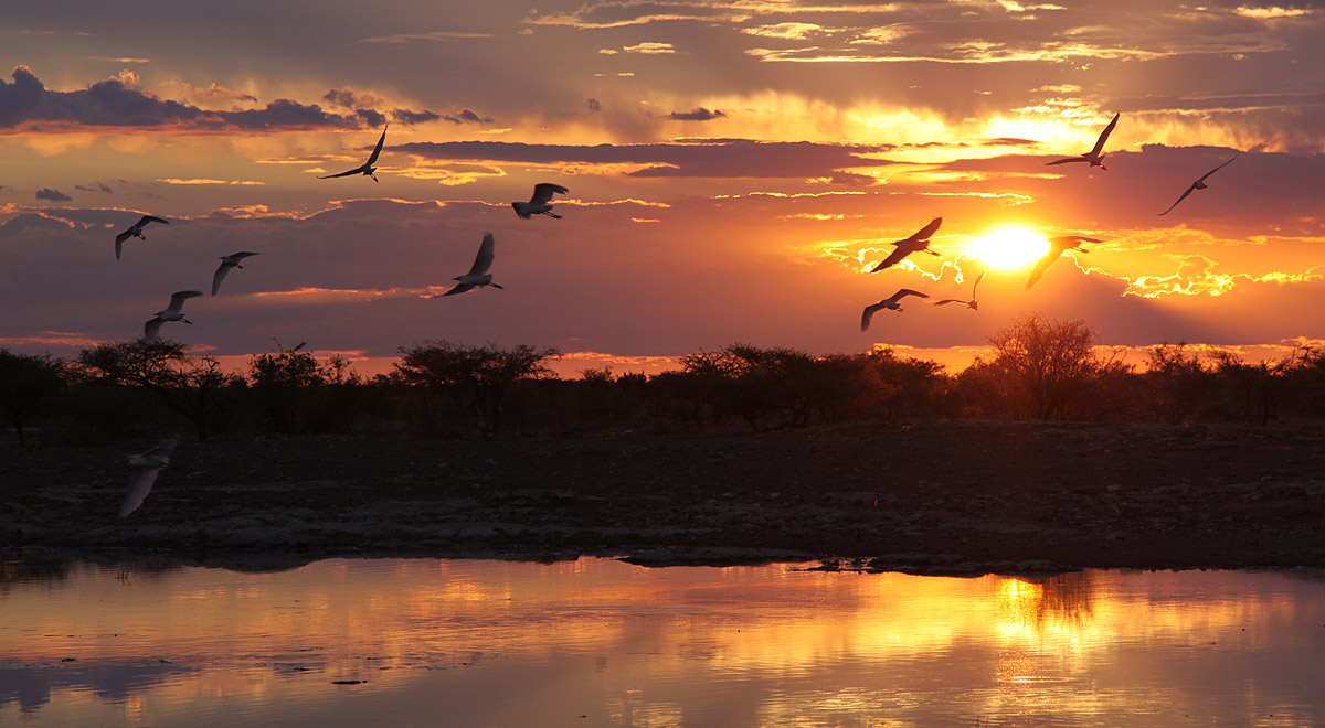 Marcocamandona.com - Namibia 2008