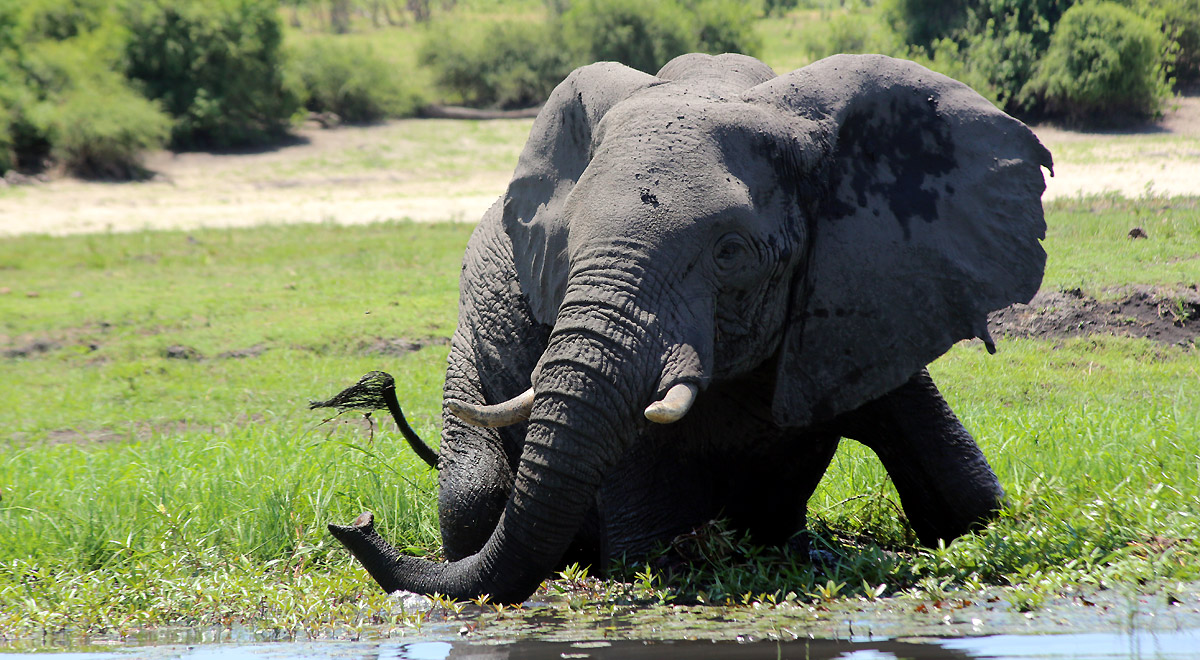 Marcocamandona.com - Suda Africa - Zambia e Botswana