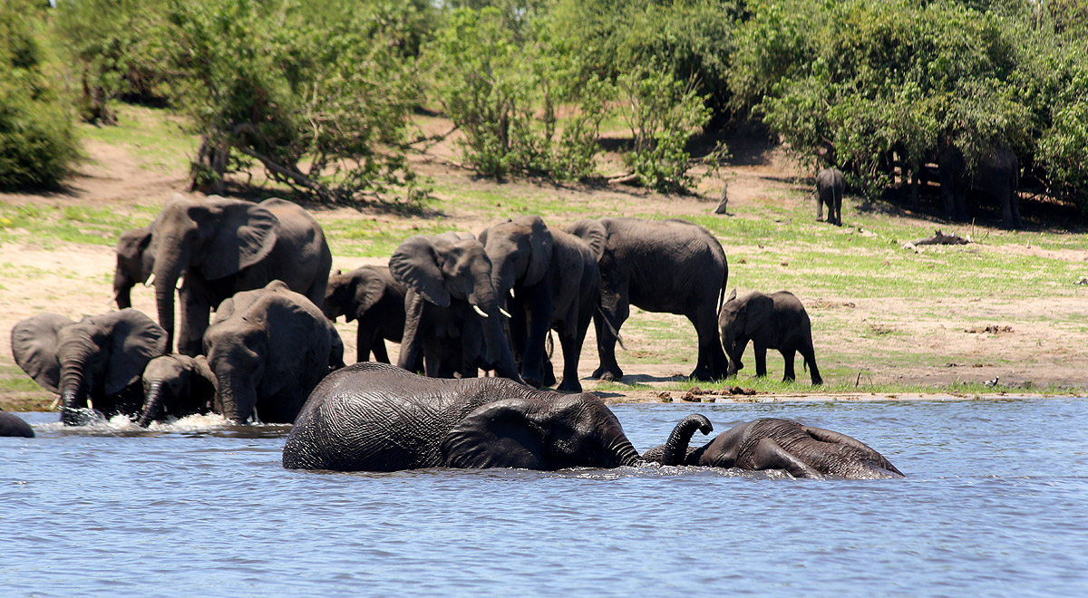 Marcocamandona.com - Suda Africa - Zambia e Botswana