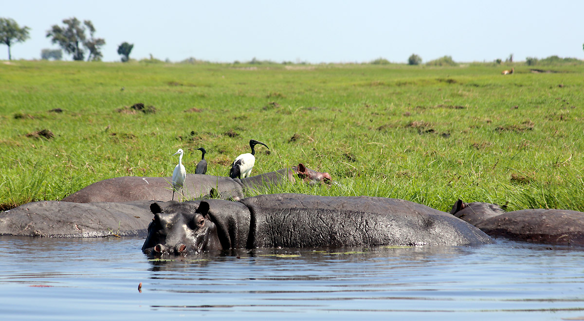 Marcocamandona.com - Suda Africa - Zambia e Botswana
