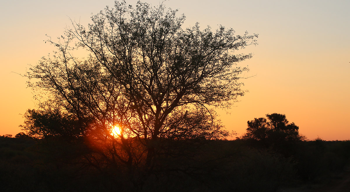 Marcocamandona.com - Suda Africa - Zambia e Botswana