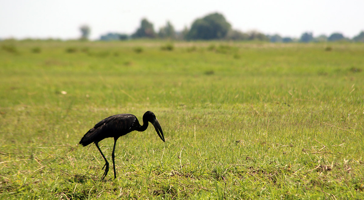 Marcocamandona.com - Suda Africa - Zambia e Botswana