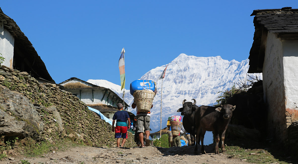 Marcocamandona.com - Churen Himal 2012