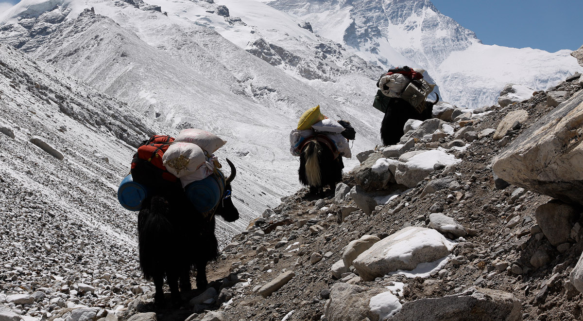 Marcocamandona.com - Everest 2010