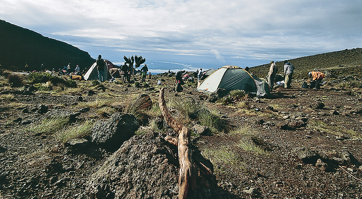 Marcocamandona.com - Kilimanjaro 2004