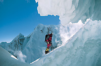 I ghiacci dell'Annapurna