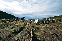 Il campo avanzato al Kilimanjaro