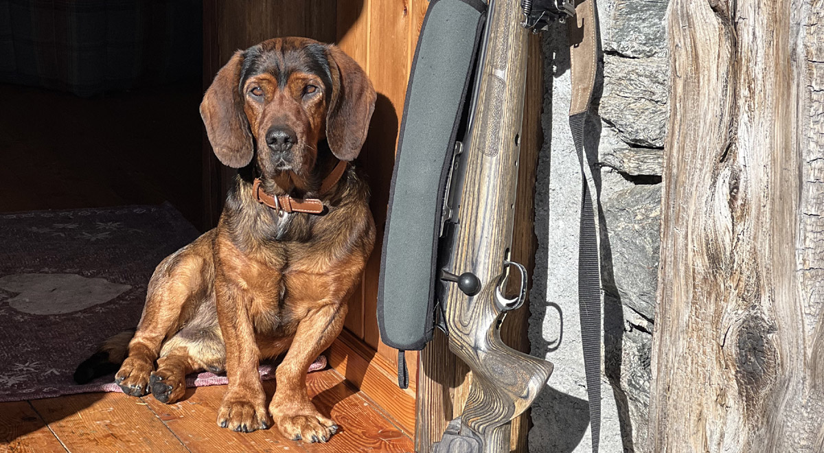 Marcocamandona.com - Hunting